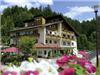 Hotel Müllers Löwen, Schwarzwald