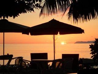 Palm Beach