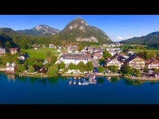 See Schlick