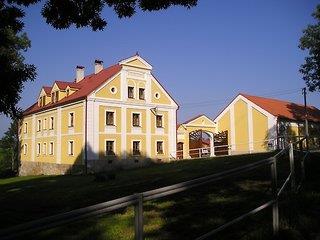Stein