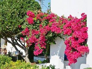 Hotel Dilino - Griechenland - Naxos