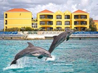 Hotel The Royal Sea Aquarium - Seaquarium Beach (Insel Curacao) - Curacao Hotel The Royal Sea Aquarium - Seaquarium Beach (Insel Curacao) - Curacao