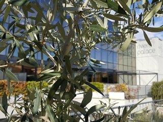 Hotel Residence Riviera Palace - Loano - Italien Hotel Residence Riviera Palace - Loano - Italien